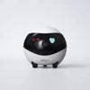 Smart Pet Monitoring Robot