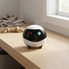 Smart Pet Monitoring Robot