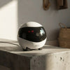 Smart Pet Monitoring Robot