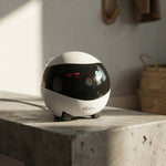 Smart Pet Monitoring Robot