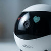 Smart Pet Monitoring Robot