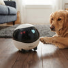 Smart Pet Monitoring Robot