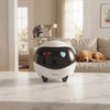 Smart Pet Monitoring Robot