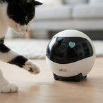 Smart Pet Monitoring Robot
